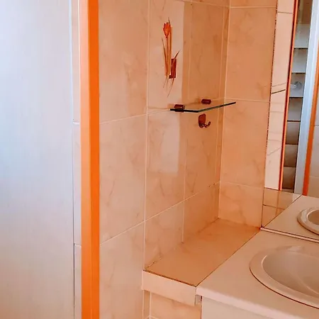 Apartment T3 Climatise Avec Jardin Et Terrasse A 200m De La De - Fr-1-100-249