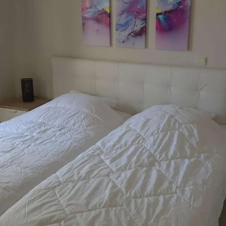 Apartment T3 Climatise Avec Jardin Et Terrasse A 200m De La De - Fr-1-100-249